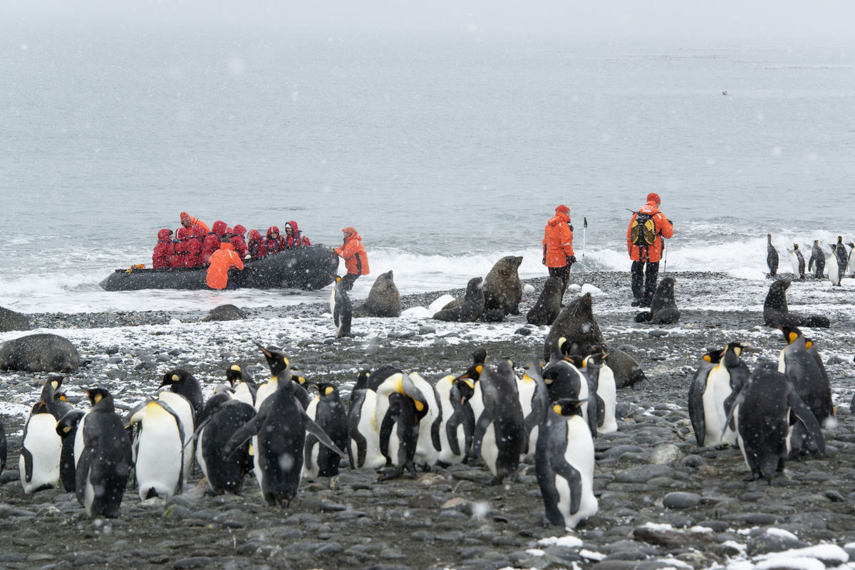 Group of tourists landing on Antarctica aboard a Zodiac to a colony of penguins